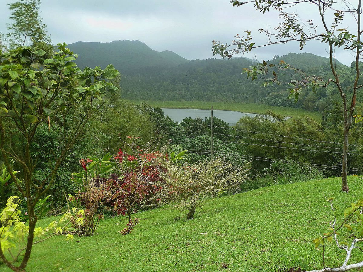 Grand Etang National Park And Lake Grenada Lac Geo